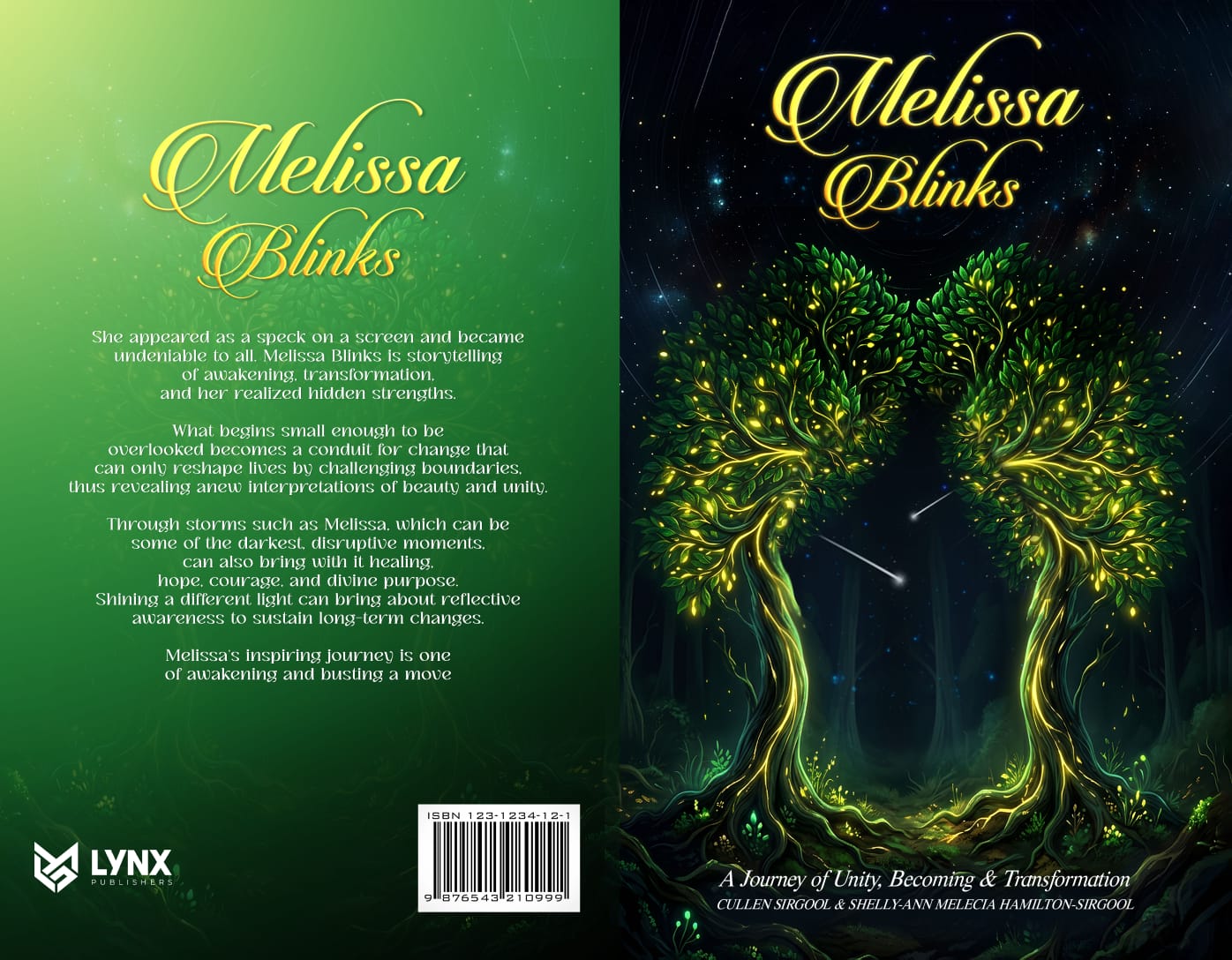 Melissa Blinks book cover